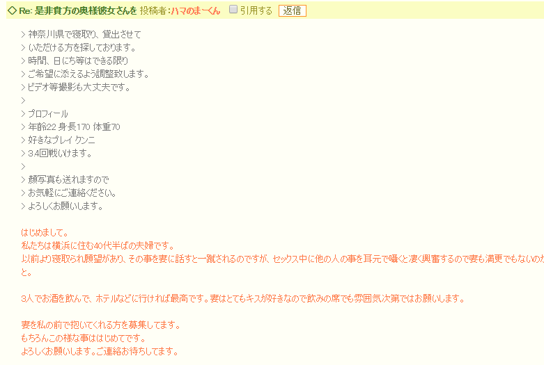 掲示板書き込み内容