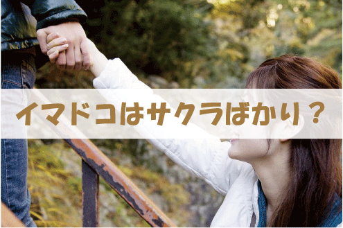 イマドコはサクラばかり?