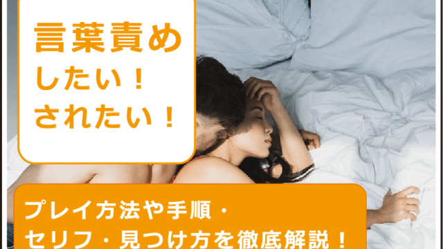 責め と は 言葉 羞恥プレイ